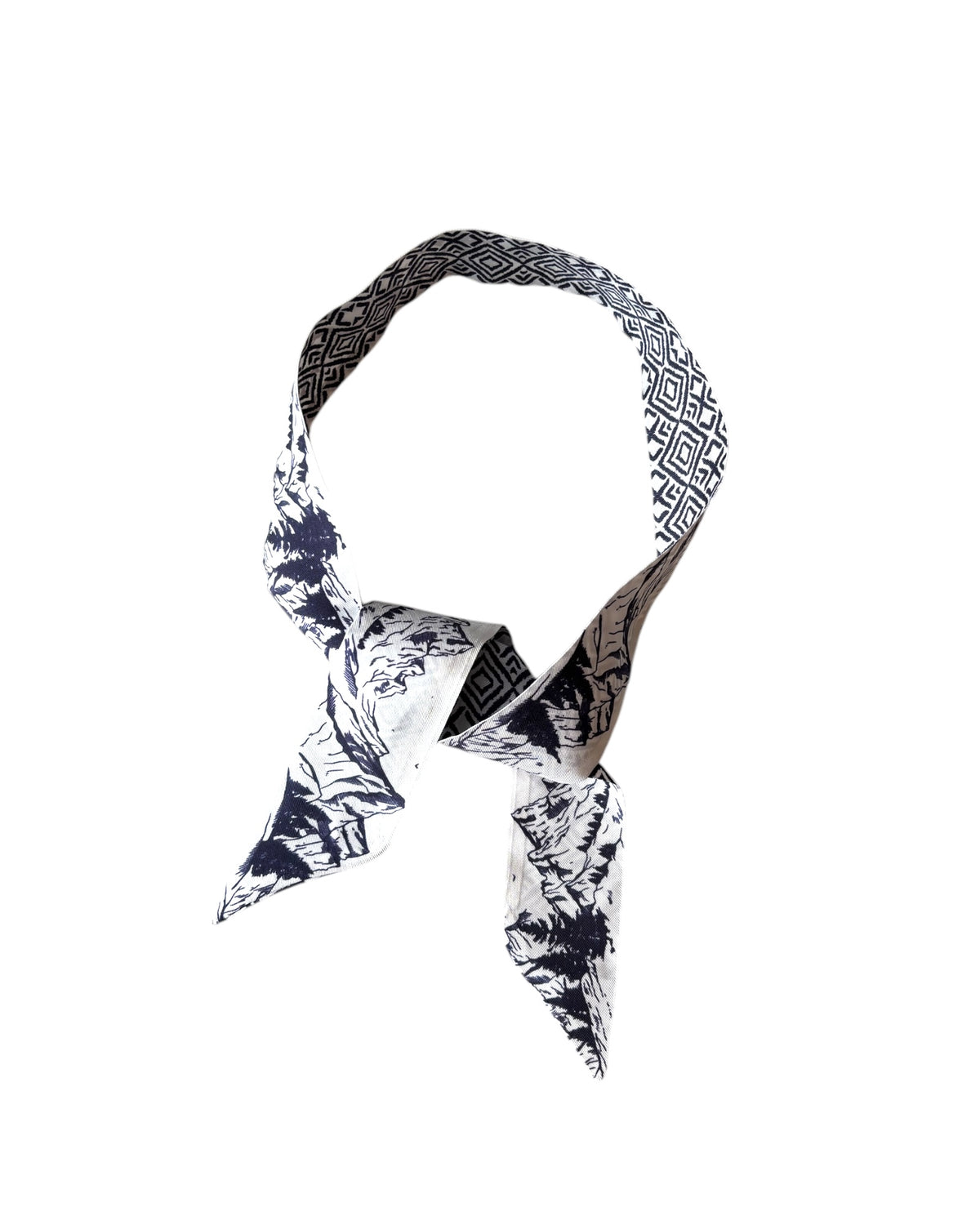 Montagne Double-Sided Slim Silk Scarf, image 7